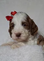 processed/20012ced-c8be-46b5-ad45-e70cc4697db5/listing/0c3da1b5-6505-47de-8f48-e0f5ebb099fa/a3d04f2c-cd87-4c46-bffa-4fbd8344cf95