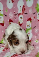 processed/20012ced-c8be-46b5-ad45-e70cc4697db5/listing/0c3da1b5-6505-47de-8f48-e0f5ebb099fa/f49d3c72-648a-4ffb-b6a5-7850402a10a1