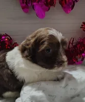 processed/20012ced-c8be-46b5-ad45-e70cc4697db5/listing/2fd631a5-6ab5-438b-9941-3b8429826fdf/0796c43a-3446-46e7-a747-5445d3955913