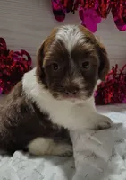 processed/20012ced-c8be-46b5-ad45-e70cc4697db5/listing/2fd631a5-6ab5-438b-9941-3b8429826fdf/3c713770-35f5-4bfc-85cd-2dcb8eedfd58