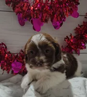 processed/20012ced-c8be-46b5-ad45-e70cc4697db5/listing/2fd631a5-6ab5-438b-9941-3b8429826fdf/e01b3eaa-32e5-482e-9181-4ba7bcd31540