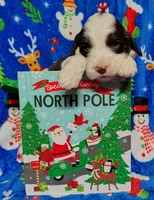 processed/20012ced-c8be-46b5-ad45-e70cc4697db5/listing/36d65a43-5b93-4dc6-8727-f443315bf923/3504c2bb-2c58-438c-86c6-25e72e1f7a8f