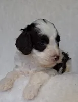 processed/20012ced-c8be-46b5-ad45-e70cc4697db5/listing/36d65a43-5b93-4dc6-8727-f443315bf923/761f3882-28cb-4197-ae6b-558dd2f1b850