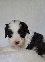 processed/20012ced-c8be-46b5-ad45-e70cc4697db5/listing/36d65a43-5b93-4dc6-8727-f443315bf923/7fb266a0-297f-4df4-9448-07ba2b04993a