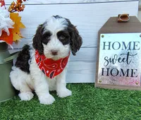 processed/20012ced-c8be-46b5-ad45-e70cc4697db5/listing/36d65a43-5b93-4dc6-8727-f443315bf923/9a59032b-a00f-4d70-8f2b-e1f7074d760e