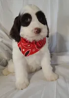 processed/20012ced-c8be-46b5-ad45-e70cc4697db5/listing/36d65a43-5b93-4dc6-8727-f443315bf923/a993a3b9-91db-4aac-81fc-ffd196eec8e8