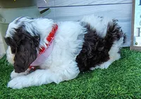 processed/20012ced-c8be-46b5-ad45-e70cc4697db5/listing/36d65a43-5b93-4dc6-8727-f443315bf923/c705266e-2a2e-46f6-a16a-53383fa96e35