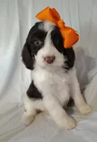 processed/20012ced-c8be-46b5-ad45-e70cc4697db5/listing/508c13c2-5cf1-4a29-a855-b14a2793e85c/317d0288-8078-4fd0-81bf-669d5d647cea