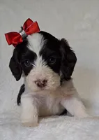 processed/20012ced-c8be-46b5-ad45-e70cc4697db5/listing/508c13c2-5cf1-4a29-a855-b14a2793e85c/34ac7b09-34a9-4079-be5d-b5a96f611ea8