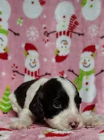 processed/20012ced-c8be-46b5-ad45-e70cc4697db5/listing/508c13c2-5cf1-4a29-a855-b14a2793e85c/91ab4000-00b3-4225-a216-326fb9a466b7