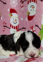 processed/20012ced-c8be-46b5-ad45-e70cc4697db5/listing/508c13c2-5cf1-4a29-a855-b14a2793e85c/9d0f05da-432d-457f-be58-87815e1a869b