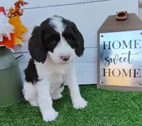 processed/20012ced-c8be-46b5-ad45-e70cc4697db5/listing/508c13c2-5cf1-4a29-a855-b14a2793e85c/c2b06cf0-c1ce-4a02-916d-e3035f0fdb7a