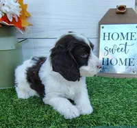 processed/20012ced-c8be-46b5-ad45-e70cc4697db5/listing/508c13c2-5cf1-4a29-a855-b14a2793e85c/ca74c3ad-4d76-430a-a340-3b865da4bede