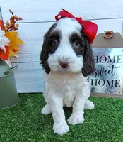 processed/20012ced-c8be-46b5-ad45-e70cc4697db5/listing/54273391-9c18-4c19-ac7a-d0862981502f/80c4ca27-f9bb-4a42-a24f-c4c84c113e31