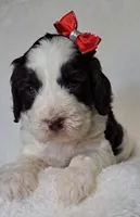 processed/20012ced-c8be-46b5-ad45-e70cc4697db5/listing/54273391-9c18-4c19-ac7a-d0862981502f/e7efd9b9-9a1d-445e-a9ed-6653a9d7d29a