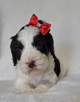 processed/20012ced-c8be-46b5-ad45-e70cc4697db5/listing/54273391-9c18-4c19-ac7a-d0862981502f/f715c305-10b5-4630-95f8-a319631a1fab