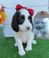 processed/20012ced-c8be-46b5-ad45-e70cc4697db5/listing/54273391-9c18-4c19-ac7a-d0862981502f/f7f3b8a1-f913-4cef-8e34-d692e2af1480