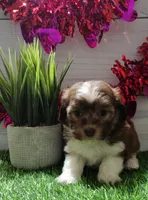 processed/20012ced-c8be-46b5-ad45-e70cc4697db5/listing/65a0970b-79cc-4acb-983d-d810dee35fef/54b1a142-a239-400d-9bbf-aaf68feda9bb