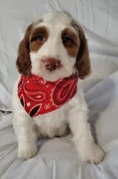 processed/20012ced-c8be-46b5-ad45-e70cc4697db5/listing/b3cf3e8a-f18a-4ad1-ac6d-db3d344f2ca4/0ce8b04e-6bb9-4528-a3d8-0e6d92218173