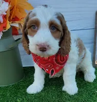 processed/20012ced-c8be-46b5-ad45-e70cc4697db5/listing/b3cf3e8a-f18a-4ad1-ac6d-db3d344f2ca4/342b94dd-ee4f-4944-9b7b-78ab212e7198