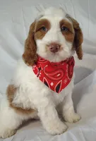 processed/20012ced-c8be-46b5-ad45-e70cc4697db5/listing/b3cf3e8a-f18a-4ad1-ac6d-db3d344f2ca4/a6b2f45b-be74-451d-83a6-f37ded53260e