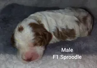 processed/20012ced-c8be-46b5-ad45-e70cc4697db5/listing/b3cf3e8a-f18a-4ad1-ac6d-db3d344f2ca4/acb913ac-cee9-4d45-b20f-b75331a9a02e