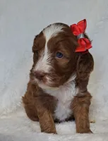 processed/20012ced-c8be-46b5-ad45-e70cc4697db5/listing/fd346217-227f-4d13-9b97-1f11258005d6/27a7b5b7-67af-4e12-a754-83395b237d7b