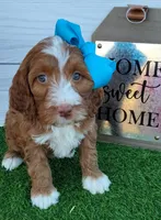 processed/20012ced-c8be-46b5-ad45-e70cc4697db5/listing/fd346217-227f-4d13-9b97-1f11258005d6/2e6fd3d4-90fd-4e2c-a45d-2178b3092f76