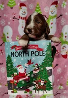 processed/20012ced-c8be-46b5-ad45-e70cc4697db5/listing/fd346217-227f-4d13-9b97-1f11258005d6/5e6bac50-2f49-44f3-a0b9-5d155cef1629