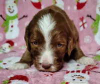 processed/20012ced-c8be-46b5-ad45-e70cc4697db5/listing/fd346217-227f-4d13-9b97-1f11258005d6/637247f9-f2c7-4f48-b4e6-cf8ee88e482b