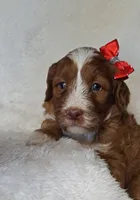 processed/20012ced-c8be-46b5-ad45-e70cc4697db5/listing/fd346217-227f-4d13-9b97-1f11258005d6/a91f1c3a-8a14-47cb-9b56-fcc32bc3a171