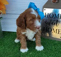 processed/20012ced-c8be-46b5-ad45-e70cc4697db5/listing/fd346217-227f-4d13-9b97-1f11258005d6/aa04166e-f2d8-4e5a-b79b-686296f33850