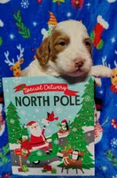 processed/20012ced-c8be-46b5-ad45-e70cc4697db5/listing/ff4cb646-9362-4617-86e1-a3a21ea7e5af/384563af-f09a-4864-95bc-409551db4524