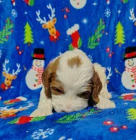 processed/20012ced-c8be-46b5-ad45-e70cc4697db5/listing/ff4cb646-9362-4617-86e1-a3a21ea7e5af/4ac5d563-7f5f-4736-a81c-14041e1e0a7a