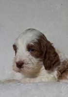 processed/20012ced-c8be-46b5-ad45-e70cc4697db5/listing/ff4cb646-9362-4617-86e1-a3a21ea7e5af/8f59be73-88da-4a7f-b6c9-978e9b93bd71