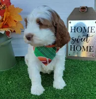 processed/20012ced-c8be-46b5-ad45-e70cc4697db5/listing/ff4cb646-9362-4617-86e1-a3a21ea7e5af/c1beac20-7ecd-4f63-b4eb-3347d5def639