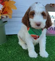 processed/20012ced-c8be-46b5-ad45-e70cc4697db5/listing/ff4cb646-9362-4617-86e1-a3a21ea7e5af/d7b281d9-6ba0-421c-a779-2734f6aceb57