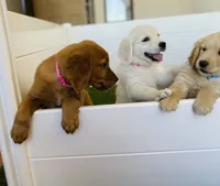 Facility photo