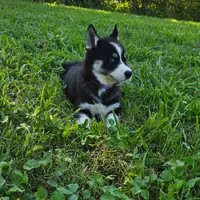 processed/200ecce2-89c2-44a6-9cb0-f20526b24c8d/facility/41f296ce-fcd1-4c15-be92-66af26233fd2