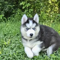 processed/200ecce2-89c2-44a6-9cb0-f20526b24c8d/facility/ba032646-02a0-47b0-ba7b-6aca89e20fd6