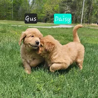 processed/200ecce2-89c2-44a6-9cb0-f20526b24c8d/facility/f15ed28c-832f-4059-8b78-3155fa498533