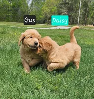 processed/200ecce2-89c2-44a6-9cb0-f20526b24c8d/facility/f15ed28c-832f-4059-8b78-3155fa498533