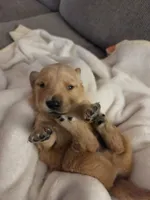 processed/2011499b-1acf-4840-bb53-b04d8e9fb8a1/listing/d4d203c4-f183-4c84-9d02-a0887fddb6f7/4637a974-ddd1-49f7-bc83-d7ba4d9f664d