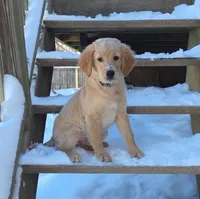 processed/2011499b-1acf-4840-bb53-b04d8e9fb8a1/listing/d4d203c4-f183-4c84-9d02-a0887fddb6f7/fab00127-3722-408e-a342-b18e067f5901