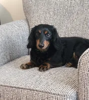 processed/201592a2-4f92-42a3-acee-292204c28536/listing/04da33c9-2aa7-43a6-868c-e51f166894e2/5d306db9-7329-47b4-9ab2-58f6c3c9a53f