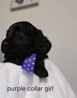 processed/201592a2-4f92-42a3-acee-292204c28536/listing/04da33c9-2aa7-43a6-868c-e51f166894e2/819aa9ce-50a6-42d2-b80d-26bf54ba1bb2