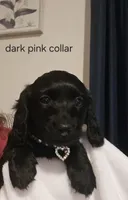 processed/201592a2-4f92-42a3-acee-292204c28536/listing/5afdd7ac-62d9-4752-99cf-316de310de61/05c3c136-521d-4ba4-8960-e60bf2dabd8d