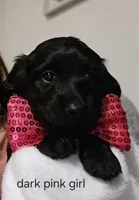 processed/201592a2-4f92-42a3-acee-292204c28536/listing/5afdd7ac-62d9-4752-99cf-316de310de61/e356a6eb-f155-4191-8e17-8382256869bc