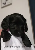 processed/201592a2-4f92-42a3-acee-292204c28536/listing/5e22698b-6fee-4c22-ba40-5af6307dc8d2/128e94f3-96e8-4d44-a583-16b551ede8c6