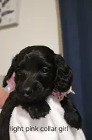 processed/201592a2-4f92-42a3-acee-292204c28536/listing/5e22698b-6fee-4c22-ba40-5af6307dc8d2/2d6118d5-2638-4222-9ef1-4a36e0cd00f0